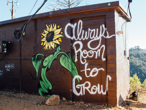 Brown cinder block building with a sunflower painted on it with the message "always room to grow"
