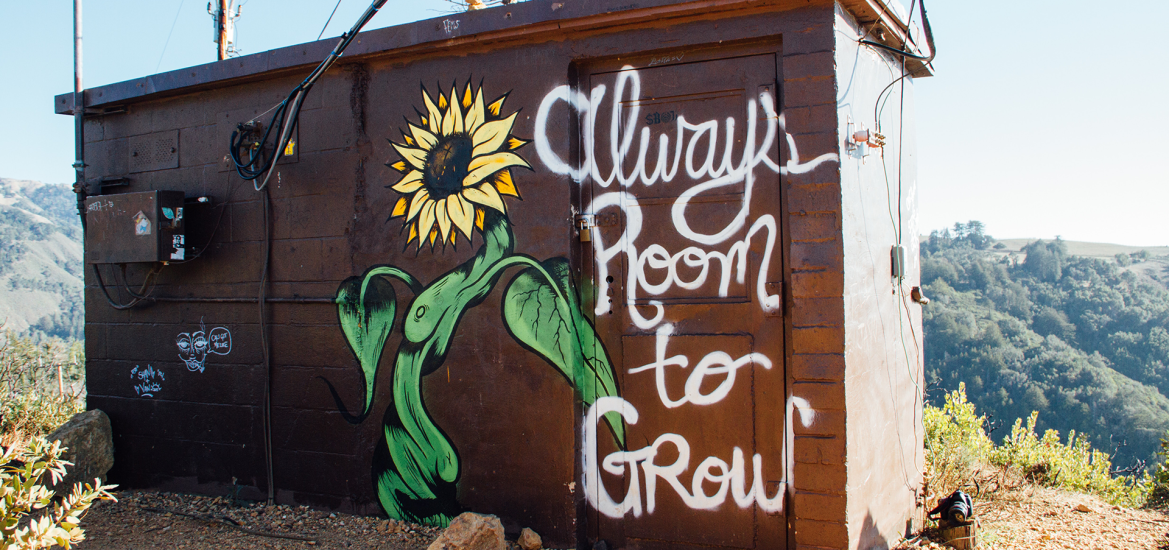 Brown cinder block building with a sunflower painted on it with the message "always room to grow"